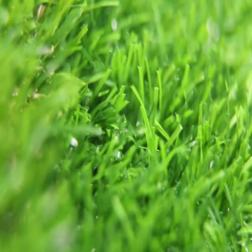 Artificial Grass Dubai